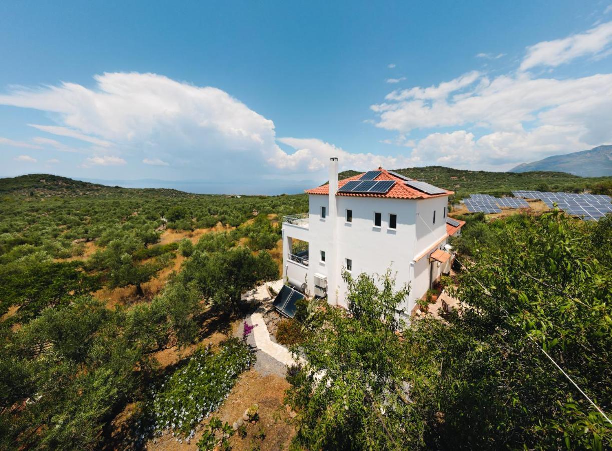 Appartement In Olive Groove House Peloponnesos Western Mani Kalianeika Zewnętrze zdjęcie