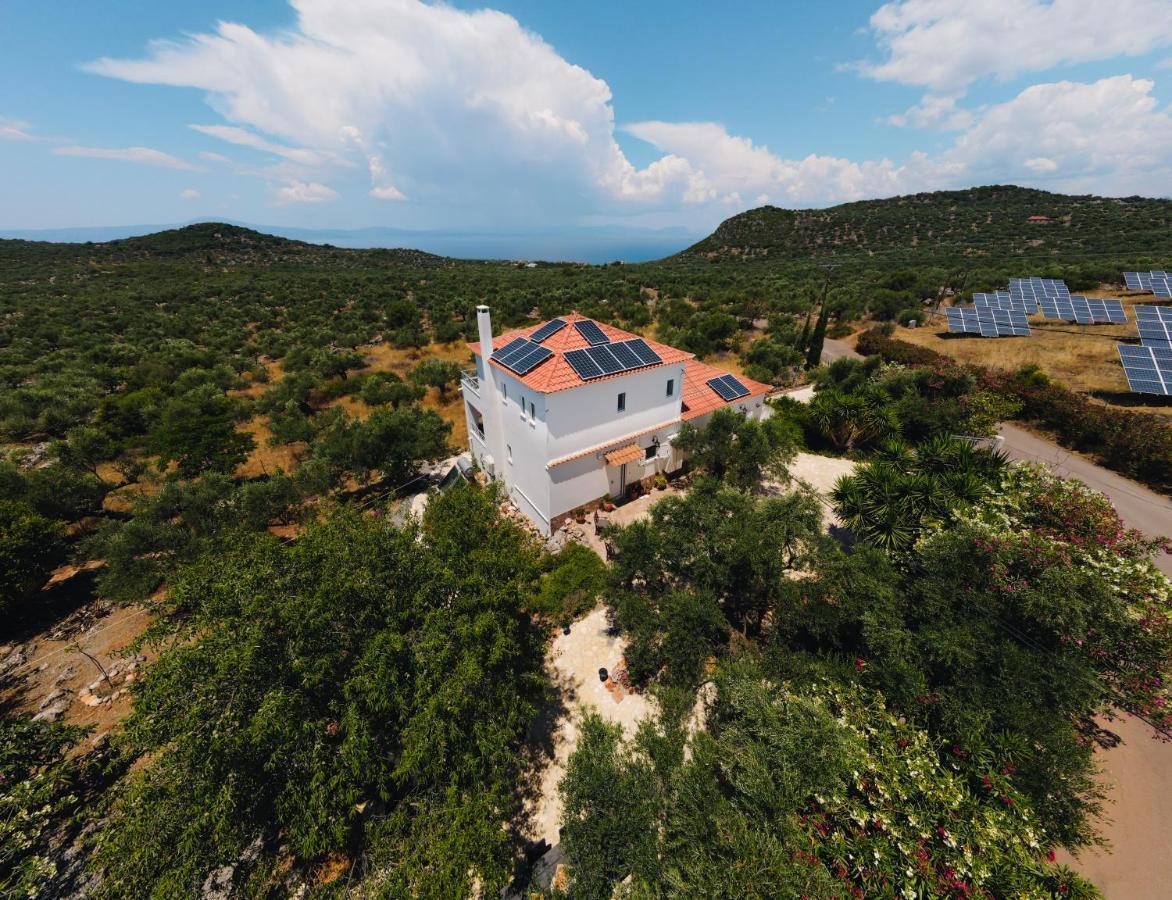 Appartement In Olive Groove House Peloponnesos Western Mani Kalianeika Zewnętrze zdjęcie